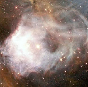 Meet your Posher, Zoe